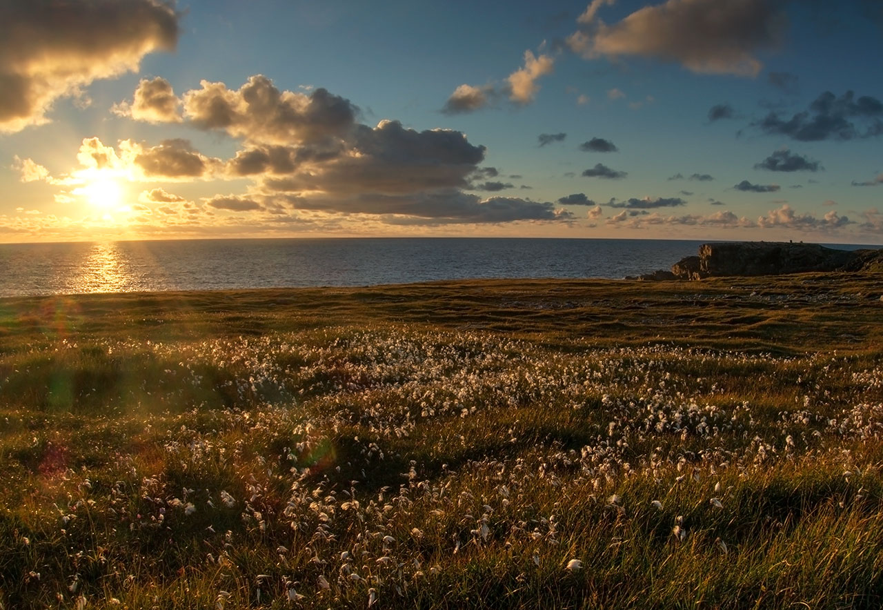 Coastline beside Dollag's Cottage