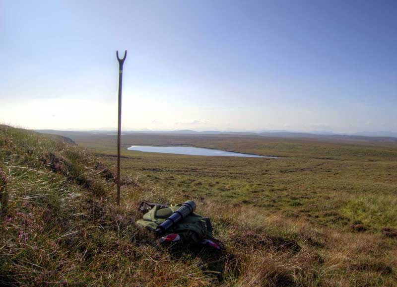 Spying for sheep near to Dollag's Cottage